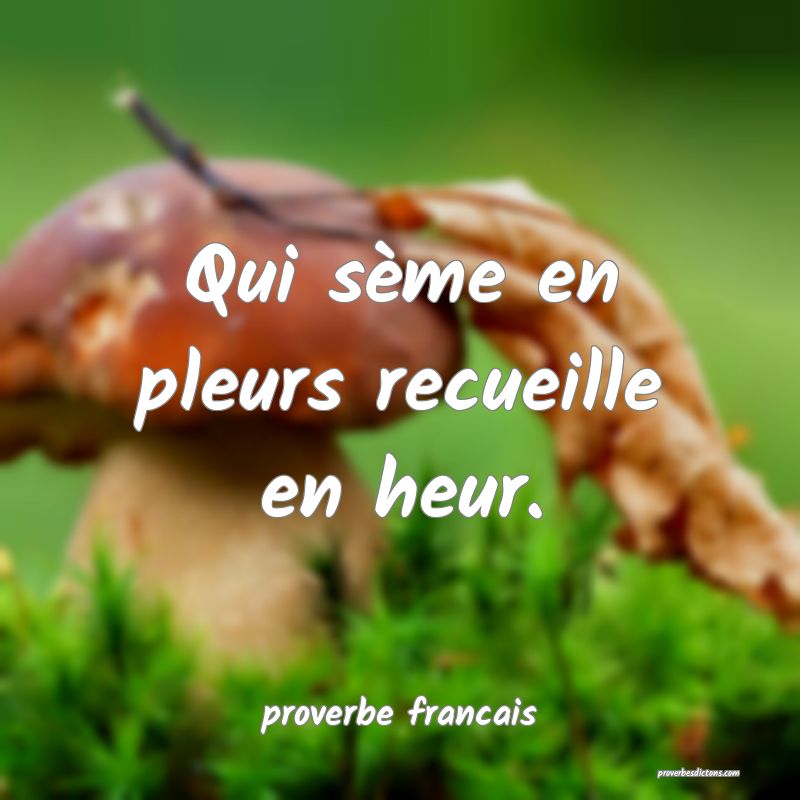 Qui sème en pleurs recueille en heur.