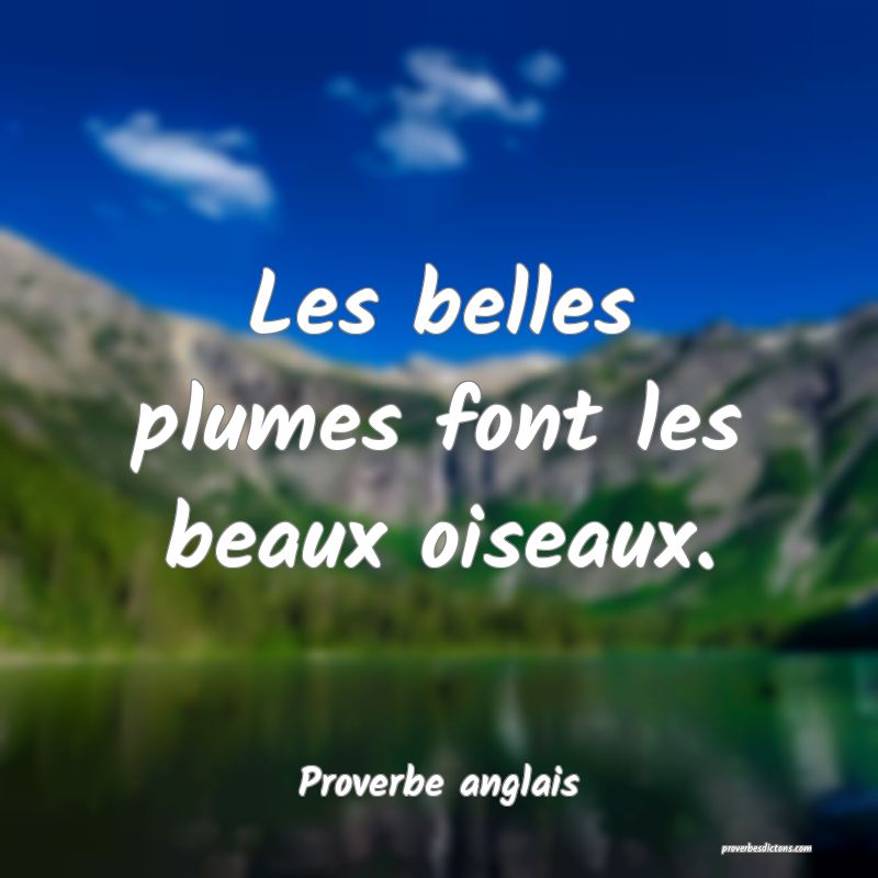 Les belles plumes font les beaux oiseaux.