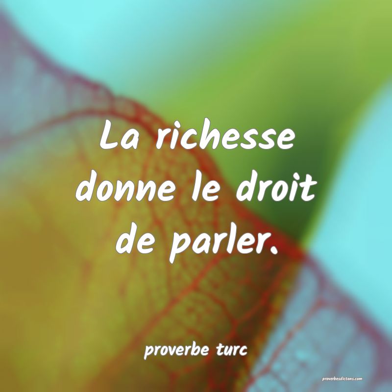  La richesse donne le droit de parler.