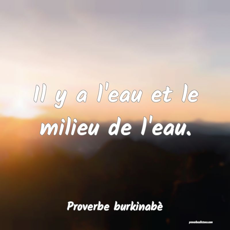 Il y a l'eau et le milieu de l'eau.