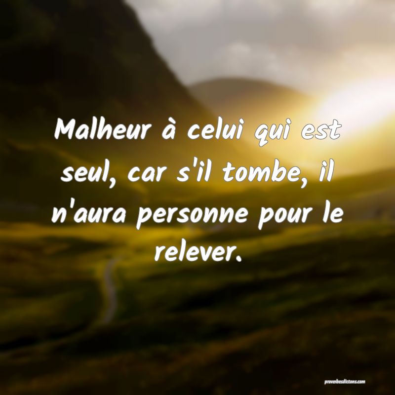 Malheur à celui qui est seul, car s'il tombe, il n'aura personne pour le relever.