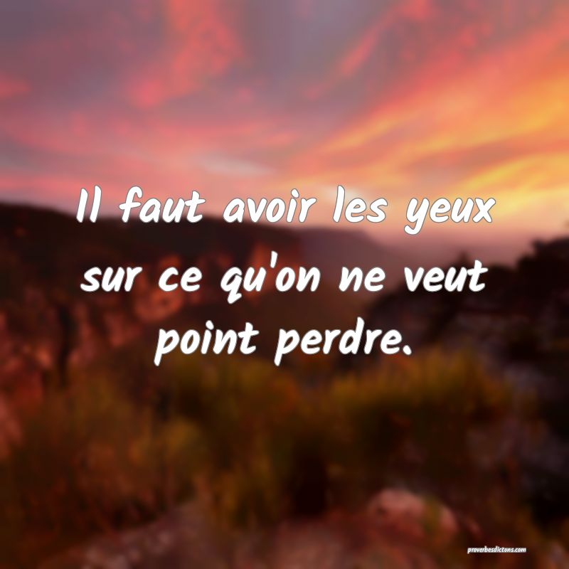Il faut avoir les yeux sur ce qu'on ne veut point perdre.