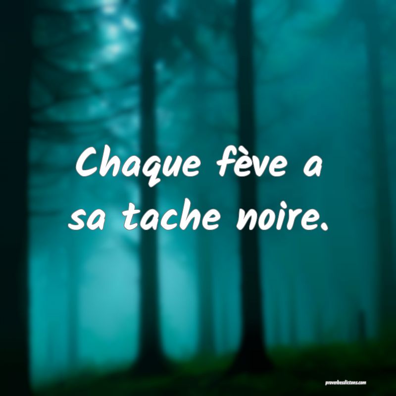 Chaque fève a sa tache noire.