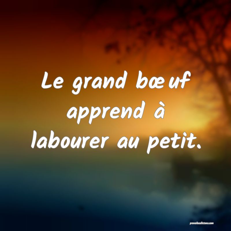 Le grand bœuf apprend à labourer au petit.