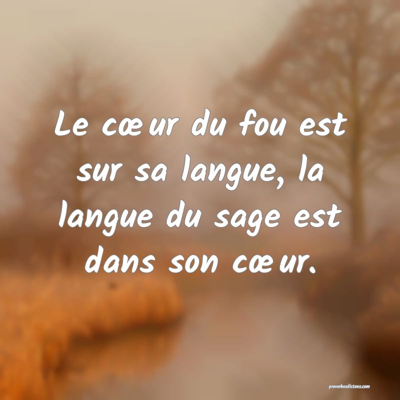Le cœur du fou est sur sa langue, la langue du sage est dans son cœur.