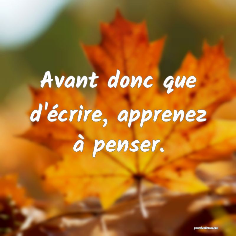 Avant donc que d'écrire, apprenez à penser.