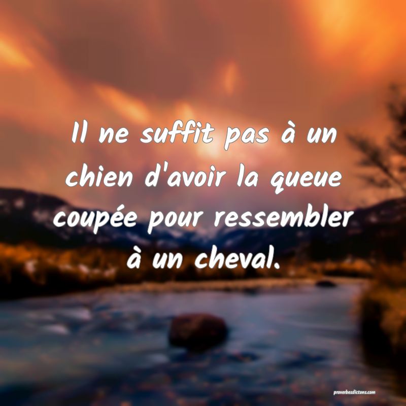 Il ne suffit pas à un chien d'avoir la queue coupée pour ressembler à un cheval.