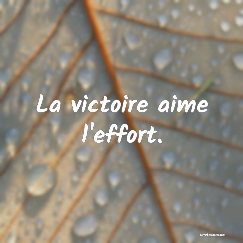 La victoire aime l'effort.