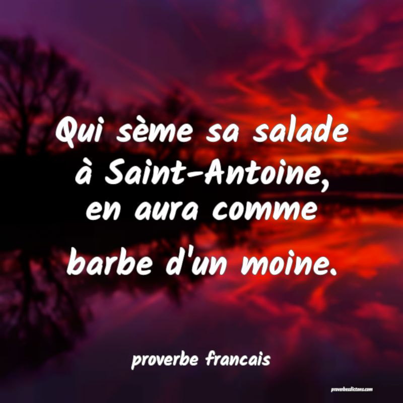 Qui sème sa salade à Saint-Antoine, en aura comme barbe d'un moine.