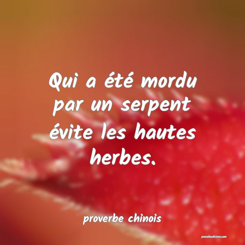 Qui a été mordu par un serpent évite les hautes herbes.