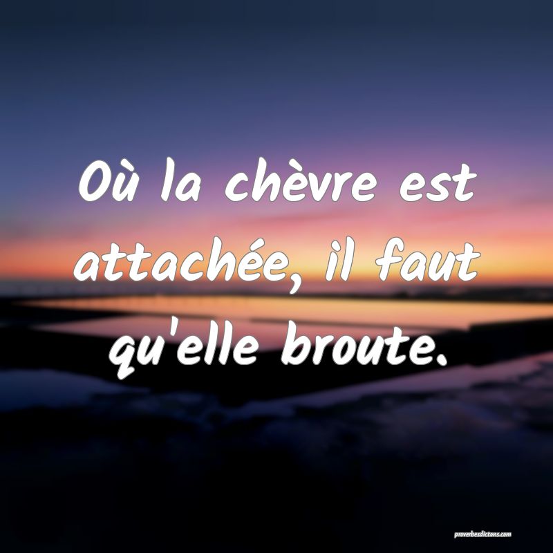 Où la chèvre est attachée, il faut qu'elle broute.
