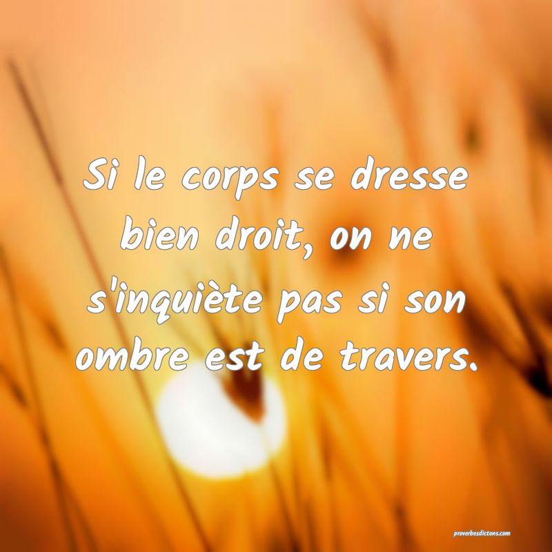 Si le corps se dresse bien droit, on ne s'inquiète pas si son ombre est de travers.