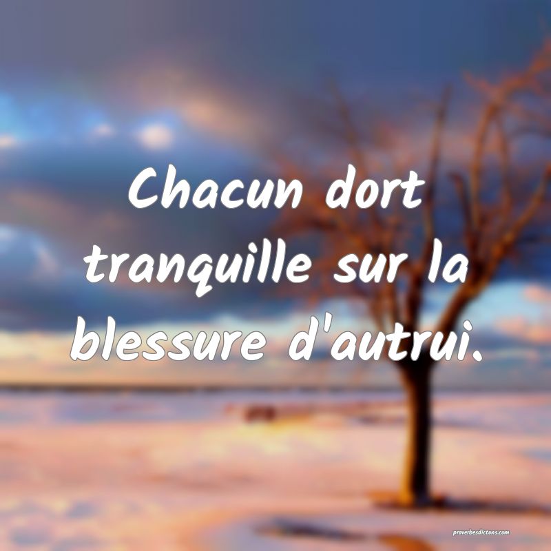 Chacun dort tranquille sur la blessure d'autrui.