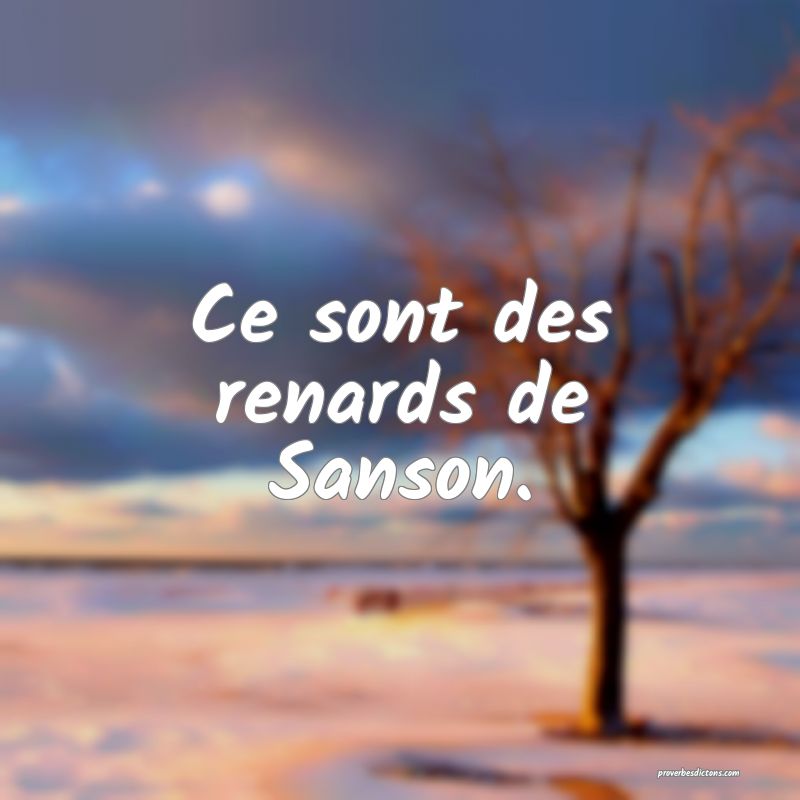 Ce sont des renards de Sanson.