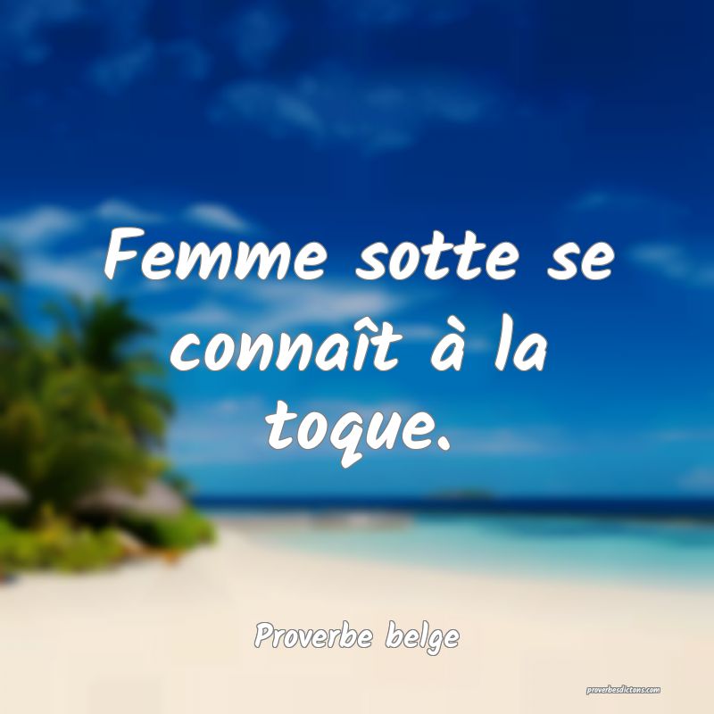 Femme sotte se connaît à la toque.