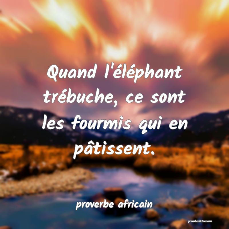 Quand l'éléphant trébuche, ce sont les fourmis qui en pâtissent.