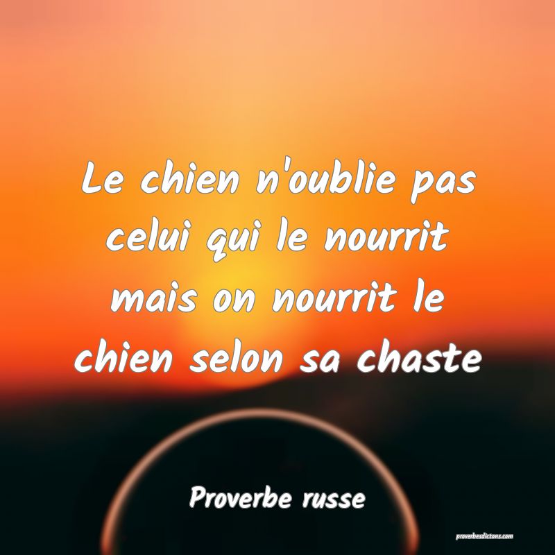 Le chien n'oublie pas celui qui le nourrit mais on nourrit le chien selon sa chaste