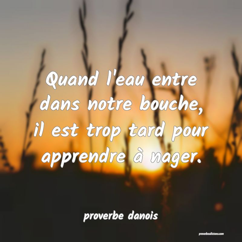  Quand l'eau entre dans notre bouche, il est trop tard pour apprendre à nager.