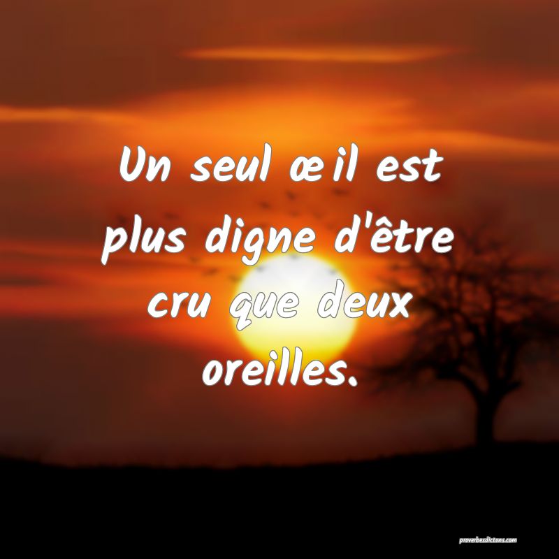 Un seul œil est plus digne d'être cru que deux oreilles.