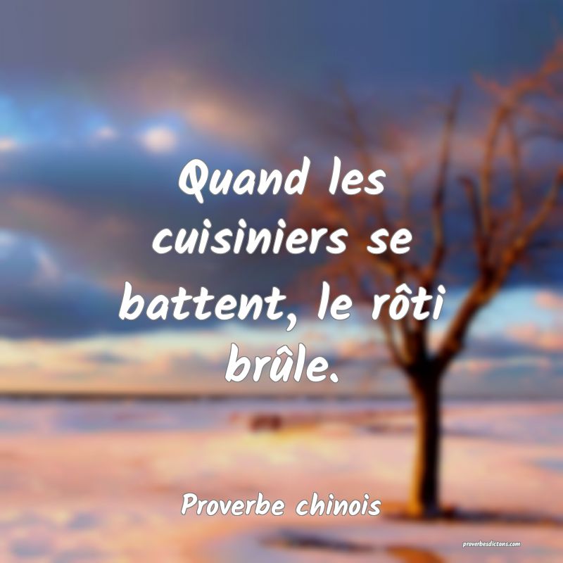 Quand les cuisiniers se battent, le rôti brûle.