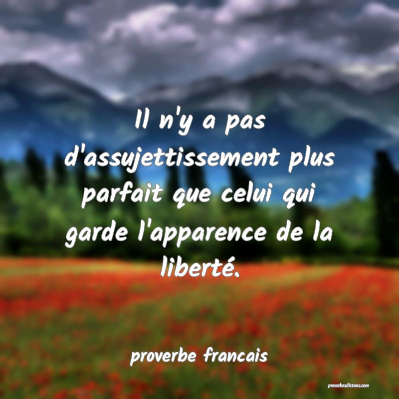 Il n'y a pas d'assujettissement plus parfait que celui qui garde l'apparence de la liberté.