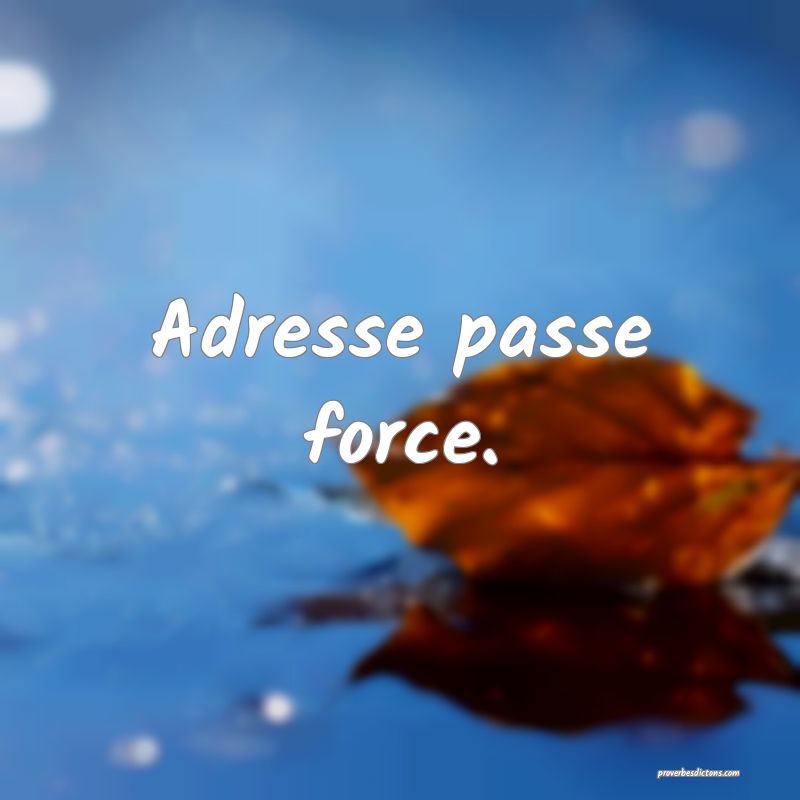 Adresse passe force.