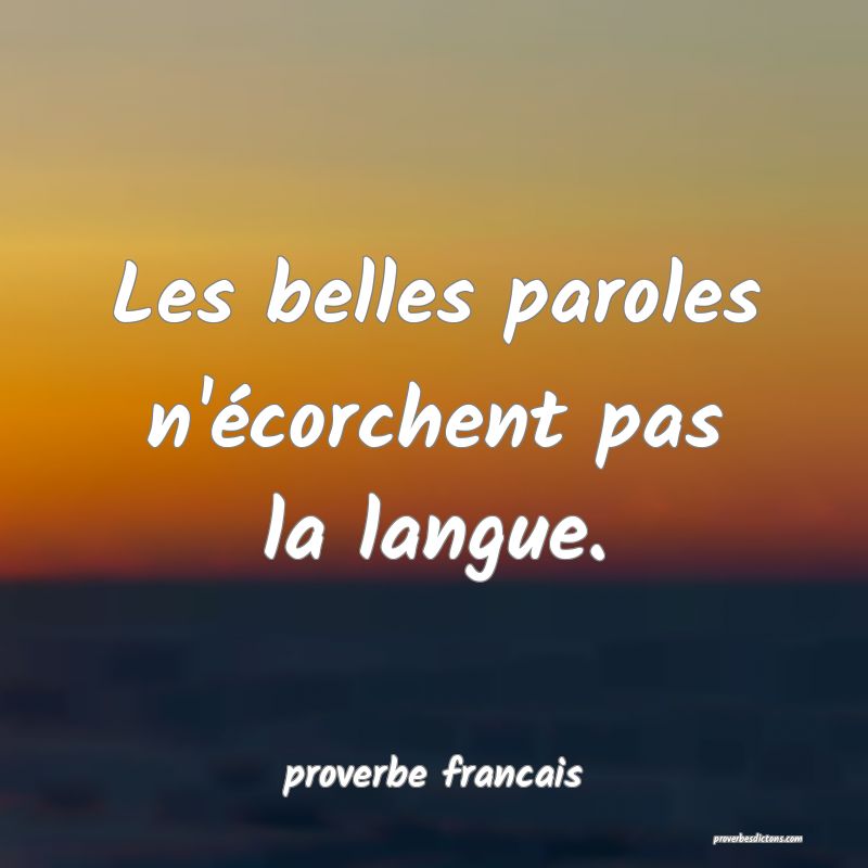 Les belles paroles n'écorchent pas la langue.