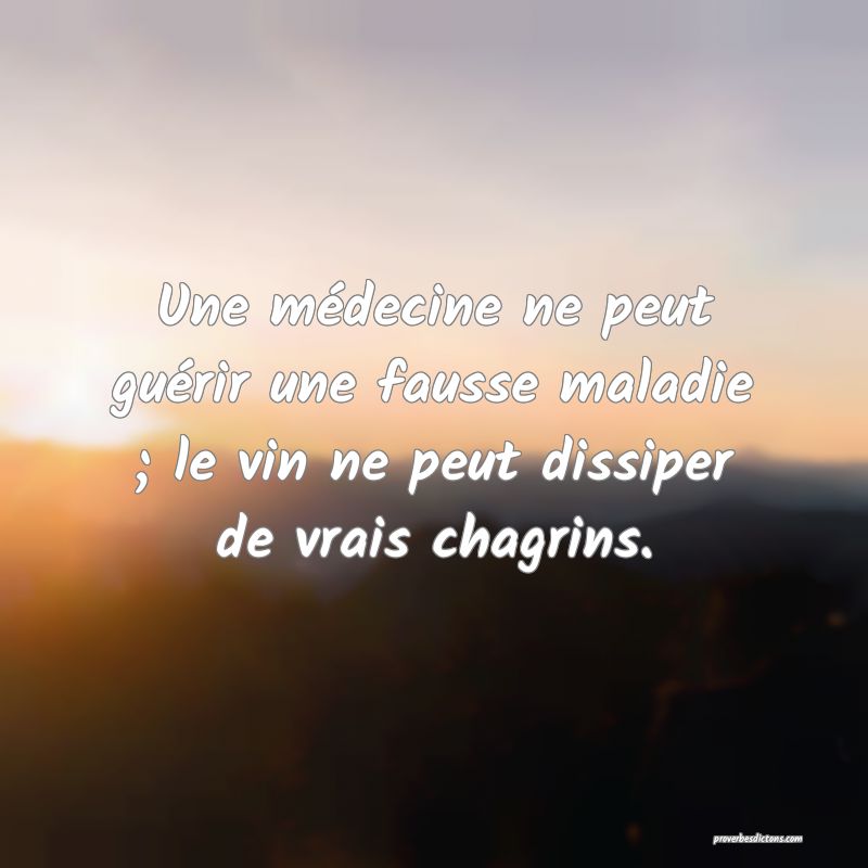 Une médecine ne peut guérir une fausse maladie ; le vin ne peut dissiper de vrais chagrins.