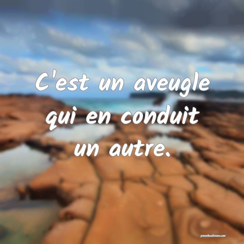 C'est un aveugle qui en conduit un autre.