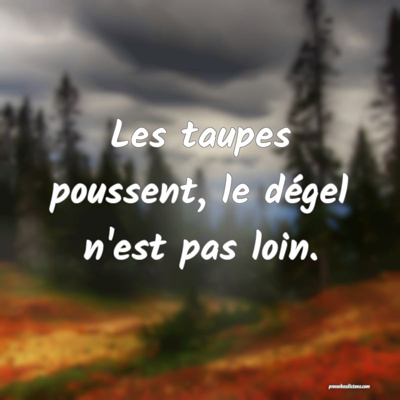 Les taupes poussent, le dégel n'est pas loin.