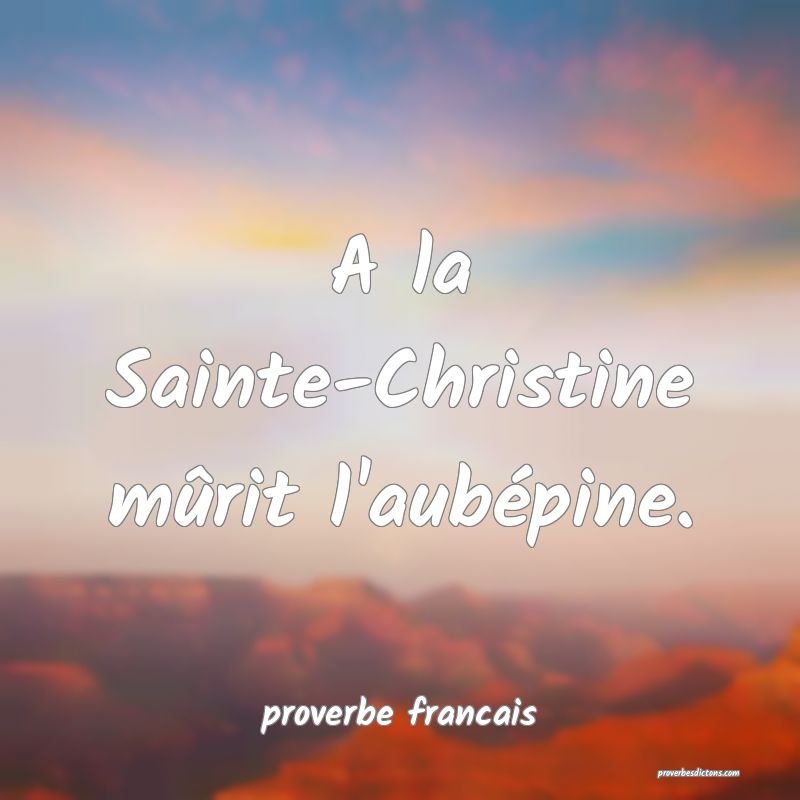 A la Sainte-Christine mûrit l'aubépine.