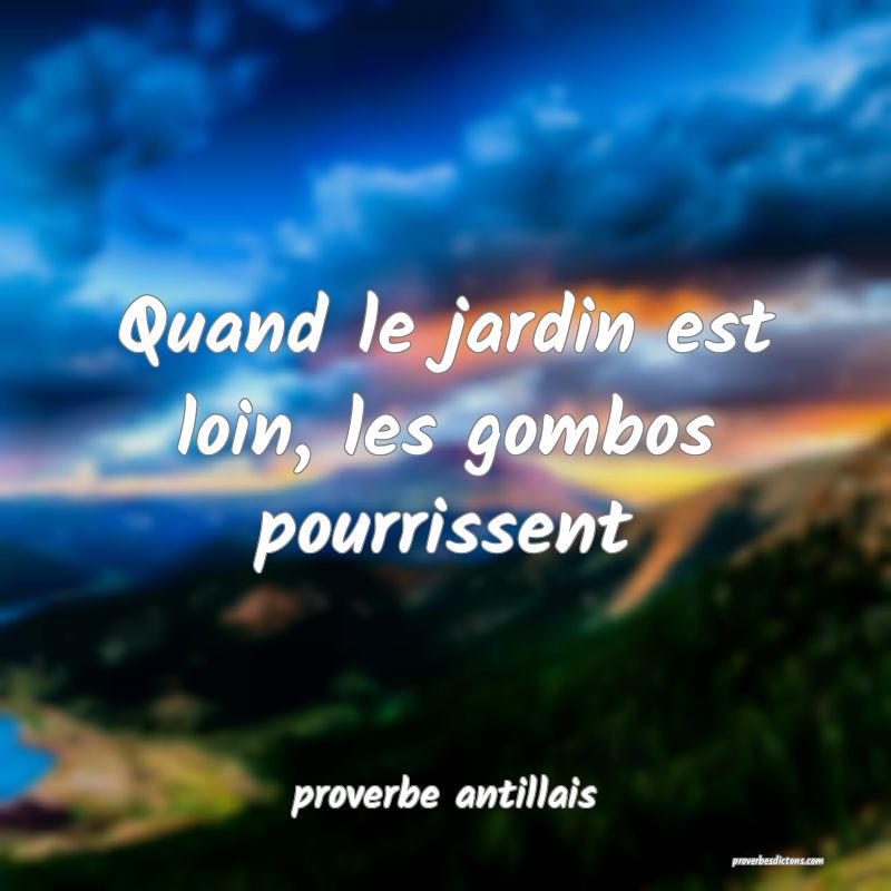 Quand le jardin est loin, les gombos pourrissent
