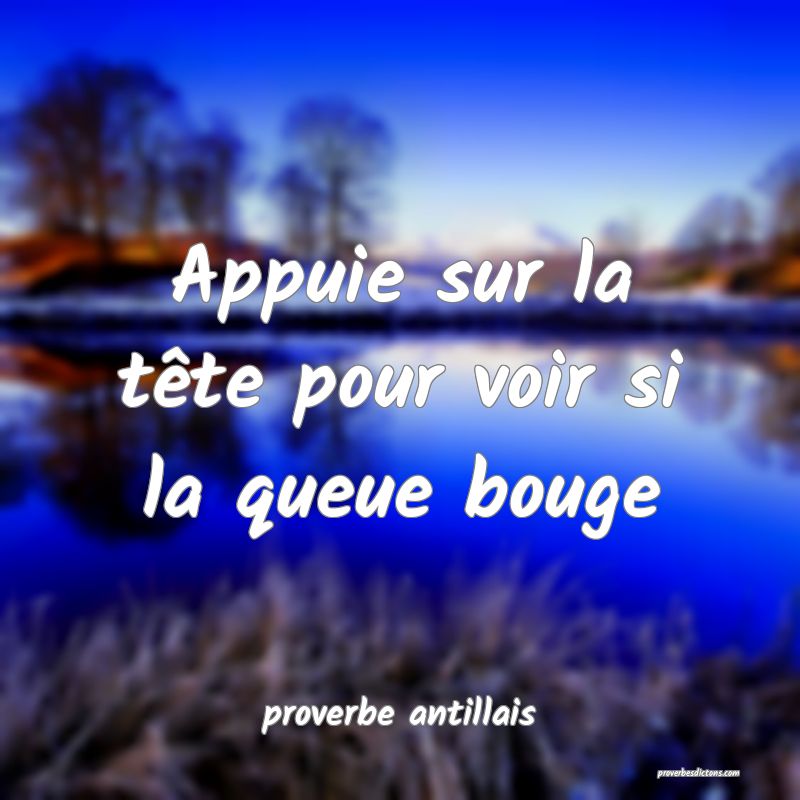Appuie sur la tête pour voir si la queue bouge
