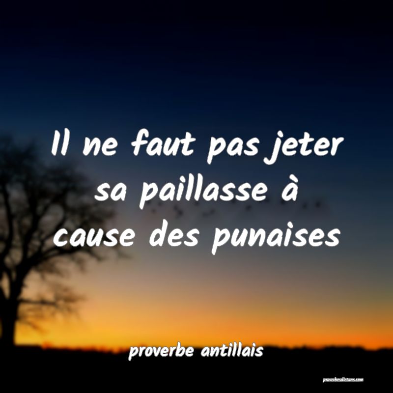 Il ne faut pas jeter sa paillasse à cause des punaises
