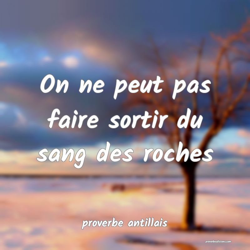 On ne peut pas faire sortir du sang des roches
