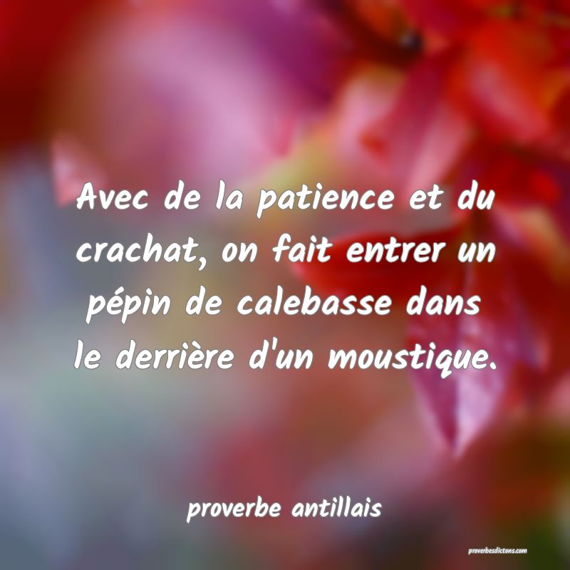 Avec de la patience et du crachat, on fait entrer un pépin de calebasse dans le derrière d'un moustique. 
