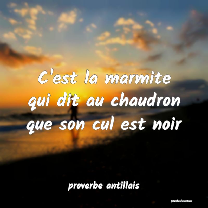 C'est la marmite qui dit au chaudron que son cul est noir
