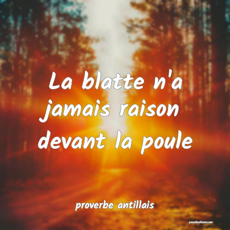 La blatte n'a jamais raison devant la poule
