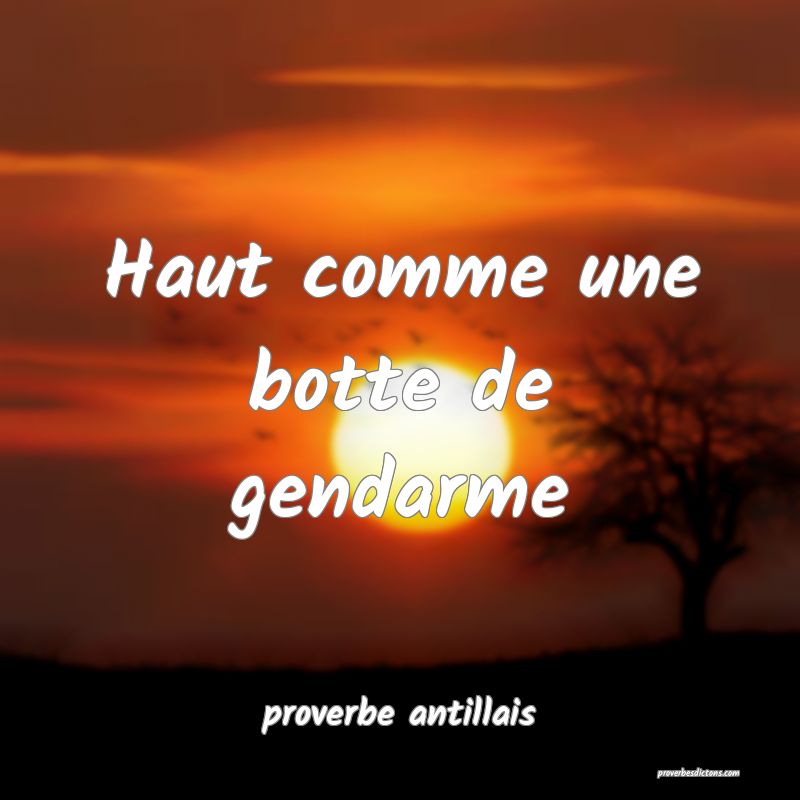 Haut comme une botte de gendarme 

