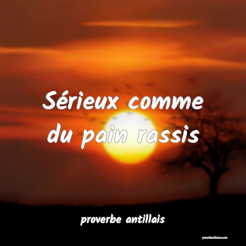 Sérieux comme du pain rassis
