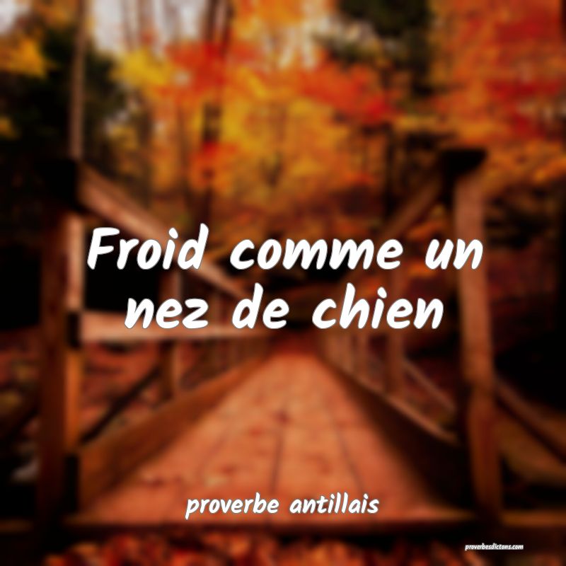 Froid comme un nez de chien 
