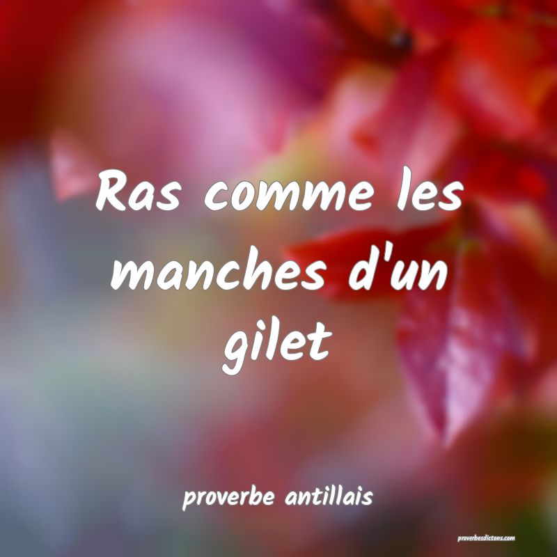 Ras comme les manches d'un gilet