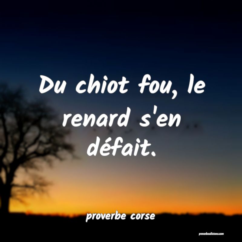  Du chiot fou, le renard s'en défait.