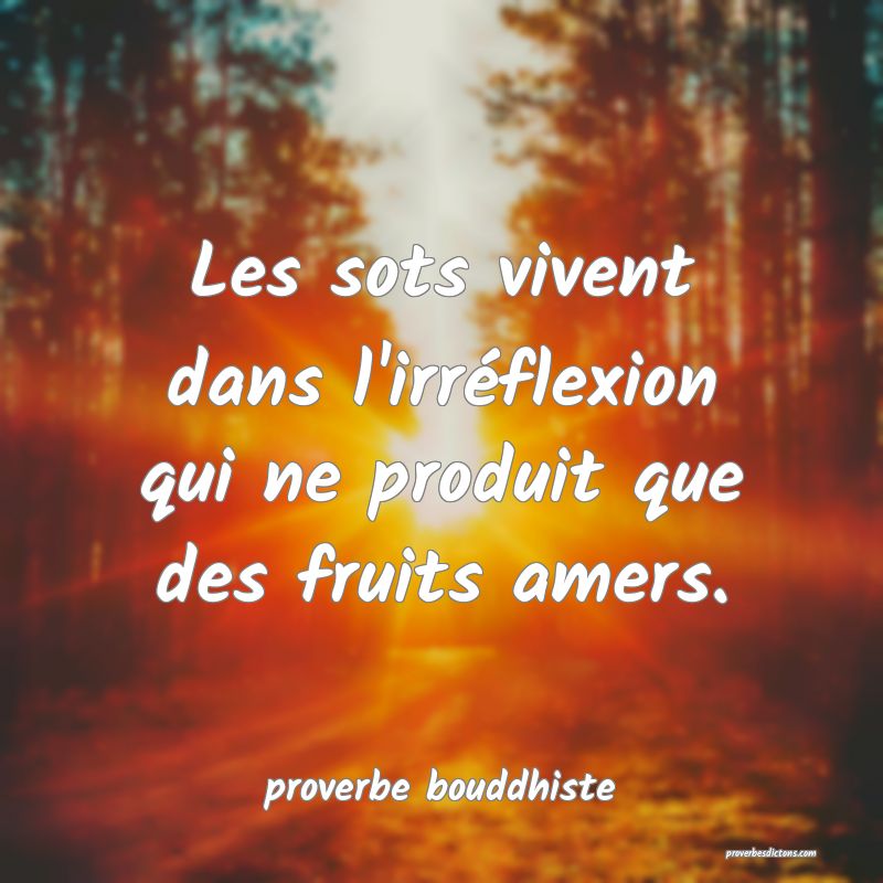 Les sots vivent dans l'irréflexion qui ne produit que des fruits amers.
