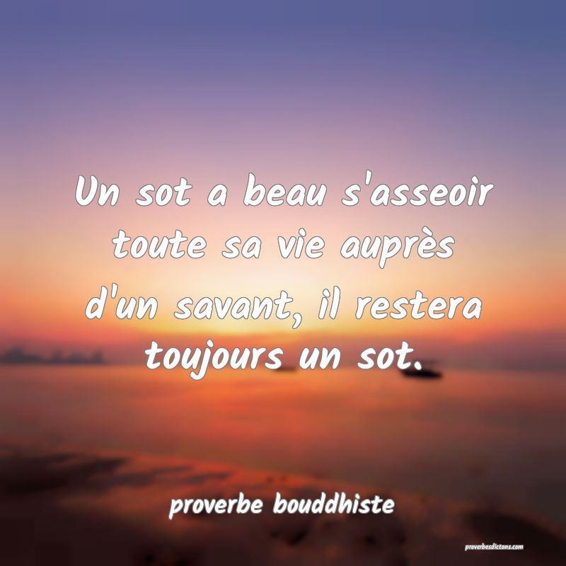 Un sot a beau s'asseoir toute sa vie auprès d'un savant, il restera toujours un sot.
