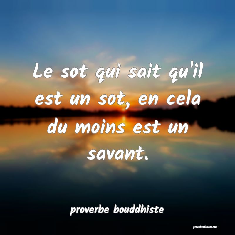 Le sot qui sait qu'il est un sot, en cela du moins est un savant.
