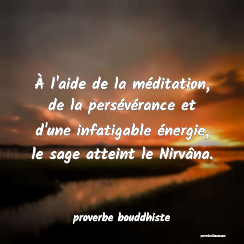 À l'aide de la méditation, de la persévérance et d'une infatigable énergie, le sage atteint le Nirvâna.

