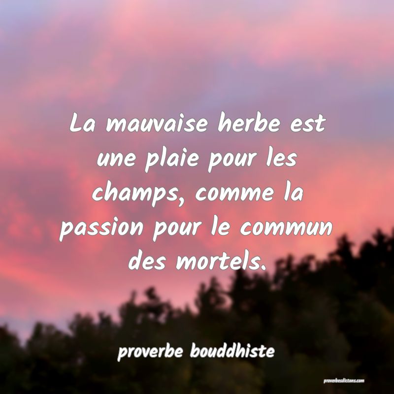 La mauvaise herbe est une plaie pour les champs, comme la passion pour le commun des mortels.
