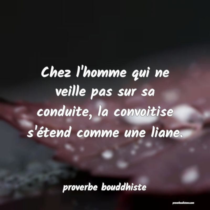 Chez l'homme qui ne veille pas sur sa conduite, la convoitise s'étend comme une liane.
