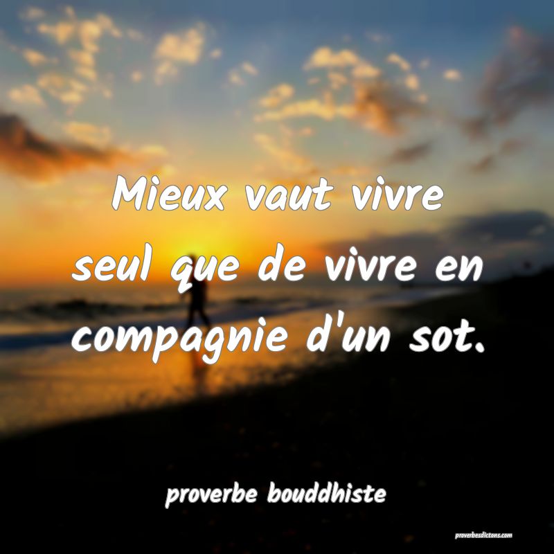 Mieux vaut vivre seul que de vivre en compagnie d'un sot.

